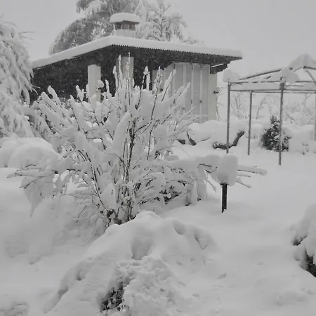 Premiata Osteria Dei Fiori Bed & Breakfast